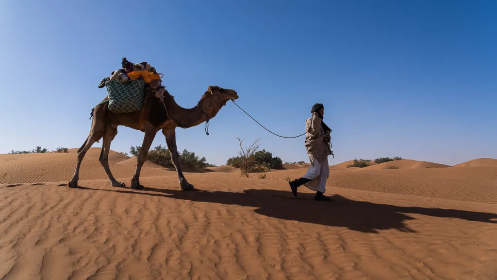 camel-and-guide
